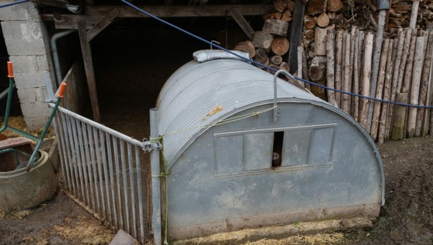 Der Unterschlupf - ein Blechtunnel - heizt sich bei Sonnenschein unerträglich auf. (Bild: VGT)