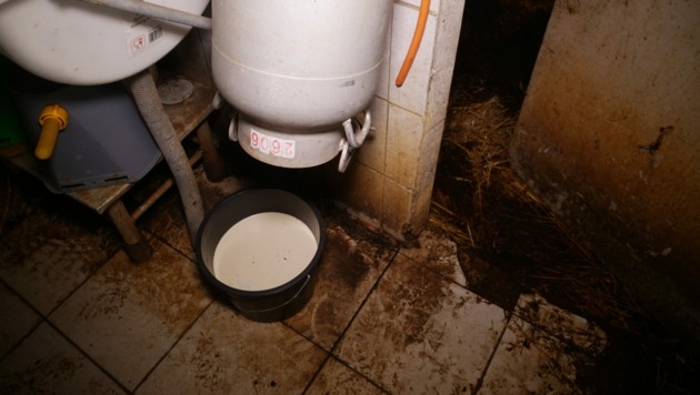 Ein Werbeschild deutet auf Bio-Milch hin. (Bild: VGT.at / VEREIN GEGEN TIERFABRIKEN)