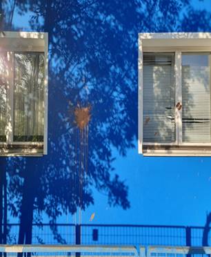 Ein Bild, das draußen, Baum, Himmel, Fenster enthält.
Automatisch generierte Beschreibung