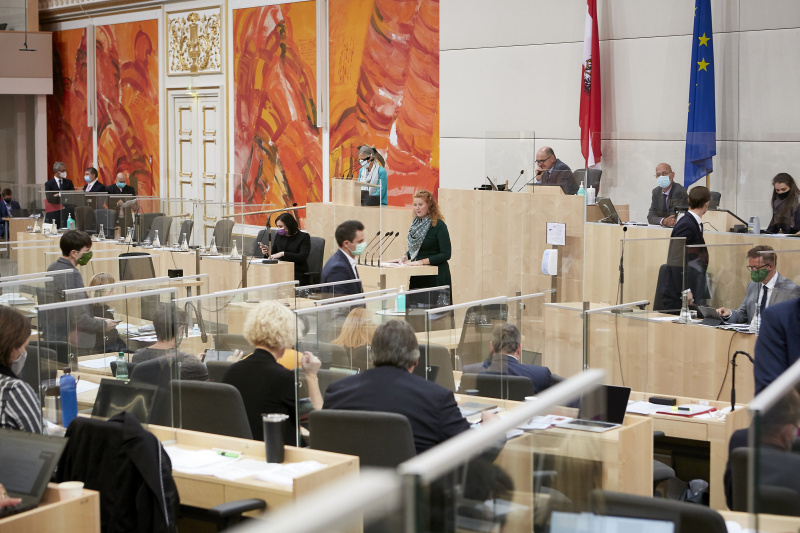 Am Rednerpult Nationalratsabgeordnete Fiona Fiedler (N)