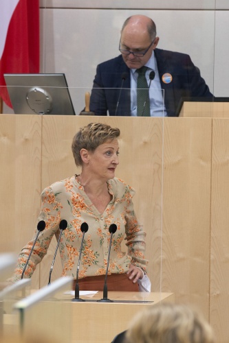 Am Rednerpult Nationalratsabgeordnete Sibylle Hamann (G). Am Präsidium Nationalratpräsident Wolfgang Sobotka (V).