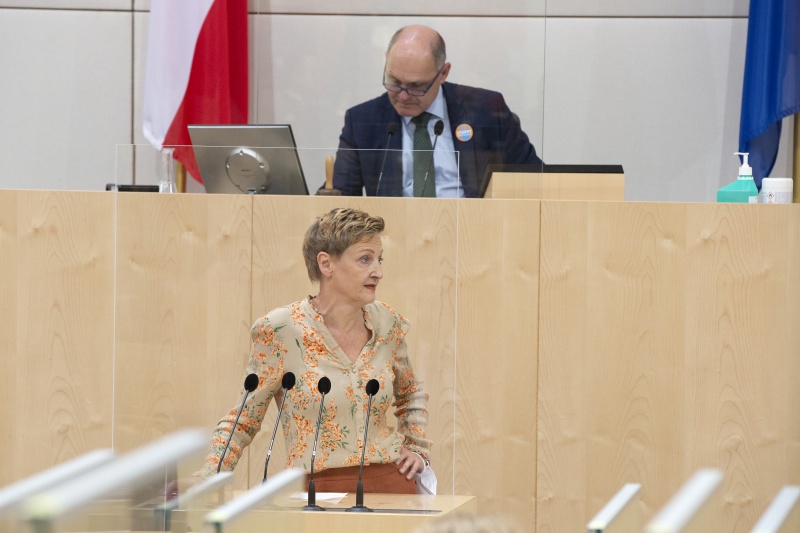 Nationalratsabgeordnete Sibylle Hamann (G) am Rednerpult