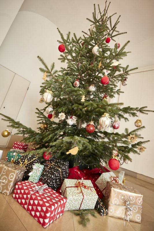 Weihnachtsbaum - Haupteingang Josefsplatz