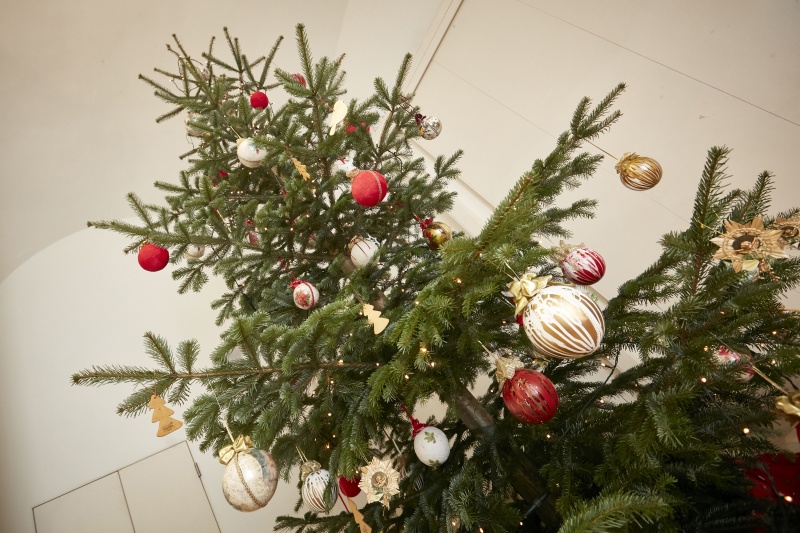 Weihnachtsbaum - Haupteingang Josefsplatz