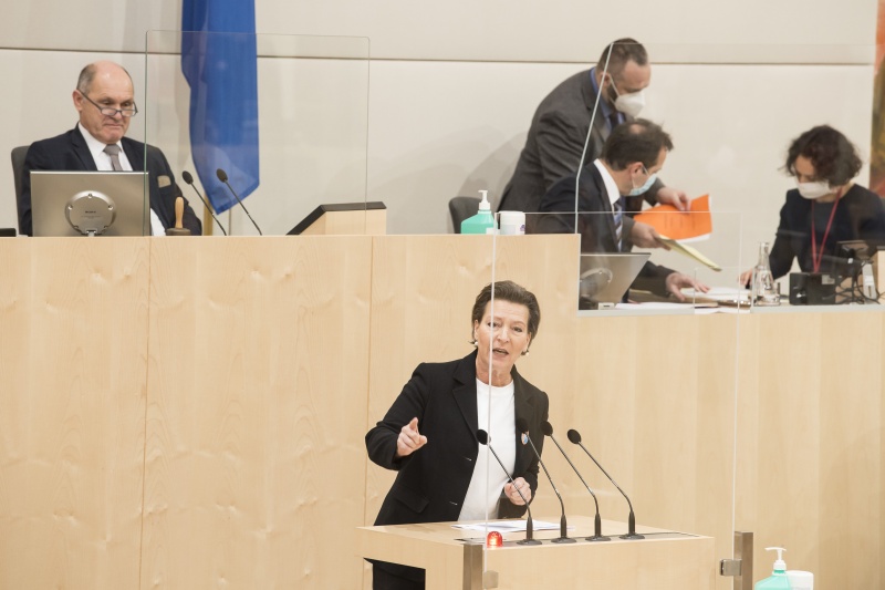 Am Rednerpult: Nationalratsabgeordnete Gabriele Heinisch-Hosek (S)