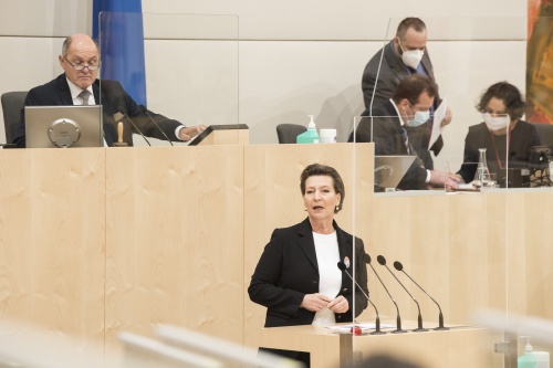 Am Rednerpult: Nationalratsabgeordnete Gabriele Heinisch-Hosek (S)