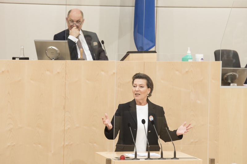 Am Rednerpult: Nationalratsabgeordnete Gabriele Heinisch-Hosek (S)
