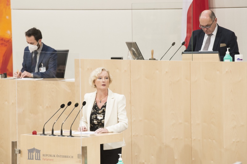 Am Rednerpult: Nationalratsabgeordnete Karin Greiner (S)