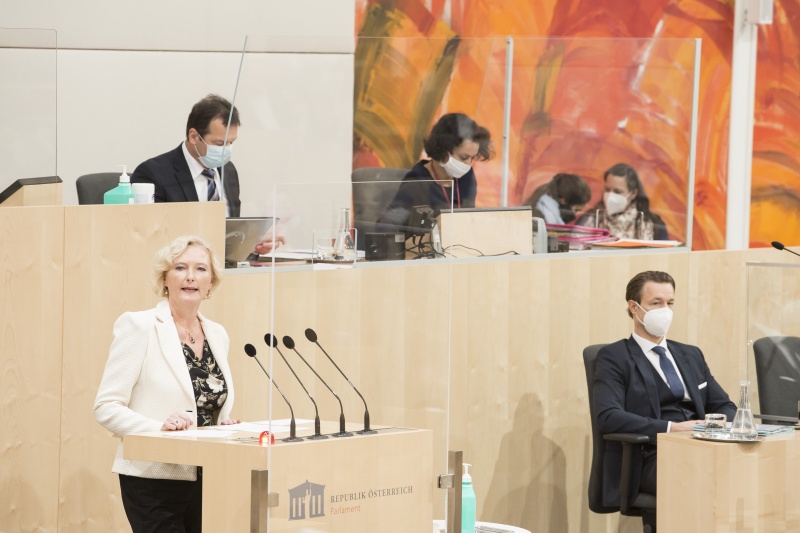 Am Rednerpult: Nationalratsabgeordnete Karin Greiner (S)