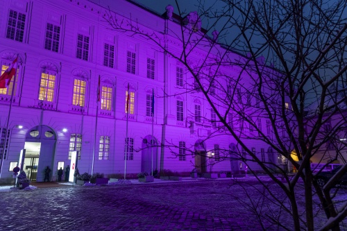 Purple Light Up auf der Fassade des Parlaments am Josefsplatz