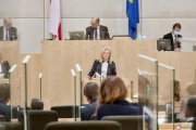 Am Rednerpult: Nationalratsabgeordnete Verena Nussbaum (SPÖ)