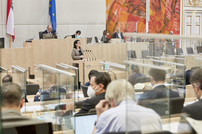 Am Rednerpult: Nationalratsabgeordnete Elisabeth Pfurtscheller (ÖVP)