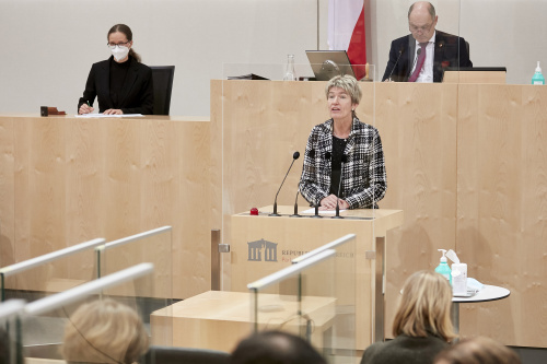 Am Rednerpult: Nationalratsabgeordnete Martina Diesner-Wais (ÖVP)