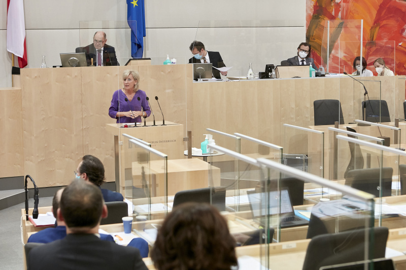Am Rednerpult: Nationalratsabgeordnete Gabriela Schwarz (ÖVP)