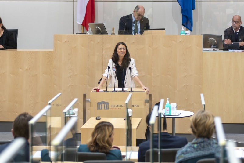 Nationalratsabgeordnete Barbara Neßler (GRÜNE) am Rednerpult