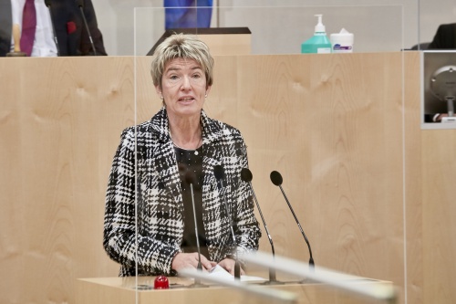 Am Rednerpult Nationalratsabgeordnete Martina Diesner-Wais (ÖVP)