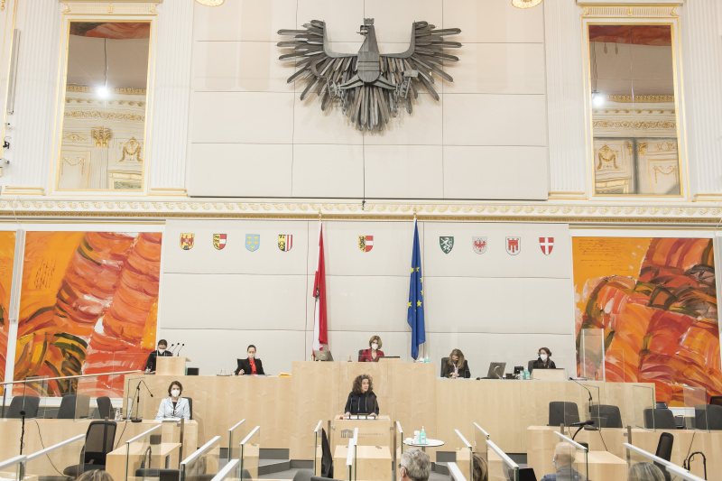 Am Rednerpult: Bundesrätin Elisabeth Kittl (GRÜNE)