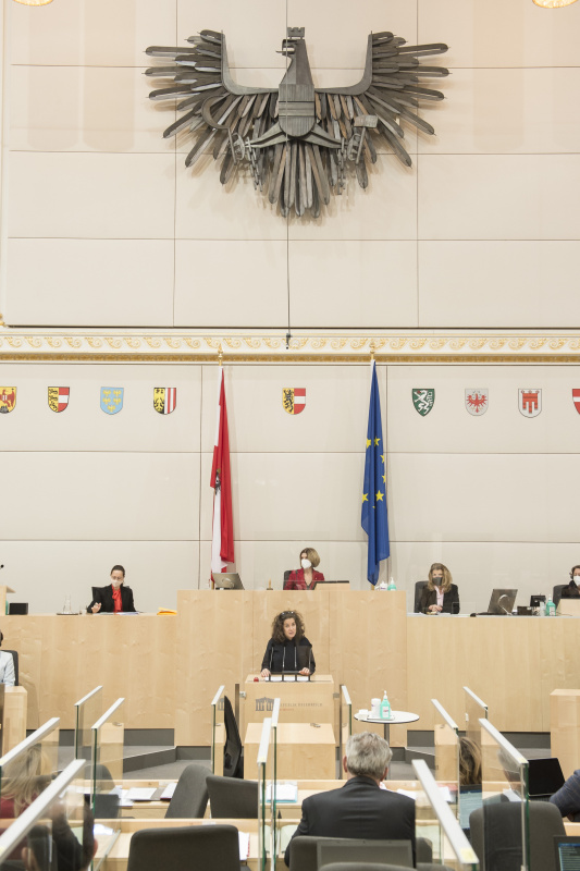 Am Rednerpult: Bundesrätin Elisabeth Kittl (GRÜNE)