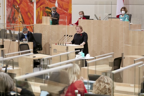 Am Rednerpult: Bundesrätin Korinna Schuhmann (SPÖ)