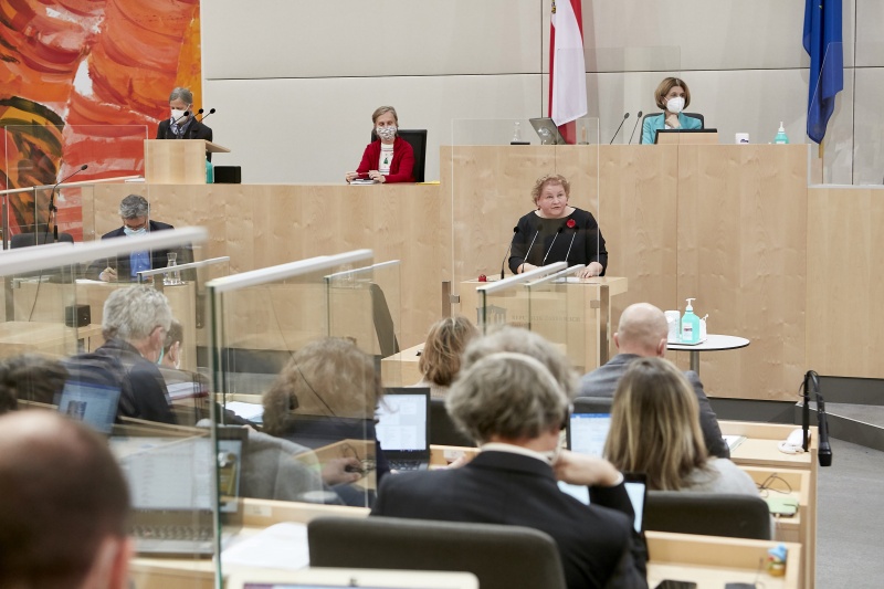 Am Rednerpult Vorsitzende der Bundesratsfraktion Korinna Schuhmann (SPÖ)