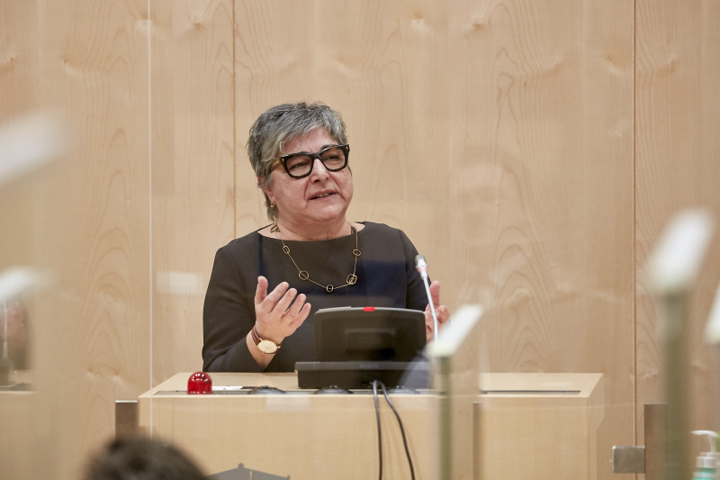 Rede von Nationalratsabgeordnete Nurten Yilmaz SPÖ)