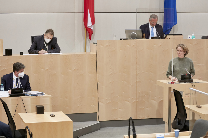 Rede von Nationalratsabgeordnete Stephanie Krisper (NEOS)