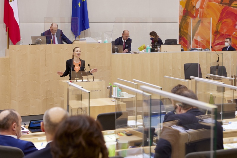 Am Rednerpult Nationalratsabgeordnete Susanne Fürst (FPÖ)