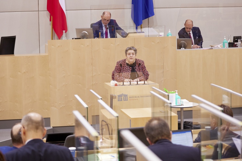 Am Rednerpult Nationalratsabgeordnete Eva Blimlinger (GRÜNE)