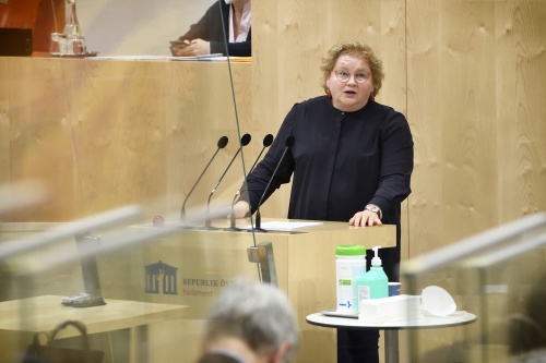 Bundesrätin Korinna Schumann (SPÖ) am Wort
