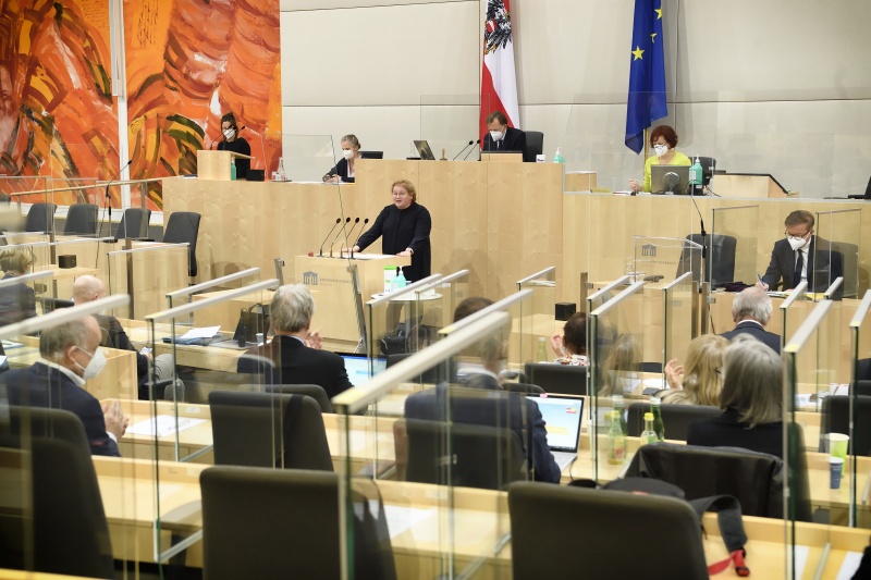 Bundesrätin Korinna Schumann (SPÖ) am Wort