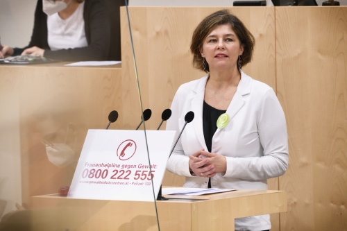 Nationalratsabgeordnete Elisabeth Götze (GRÜNE) am Wort