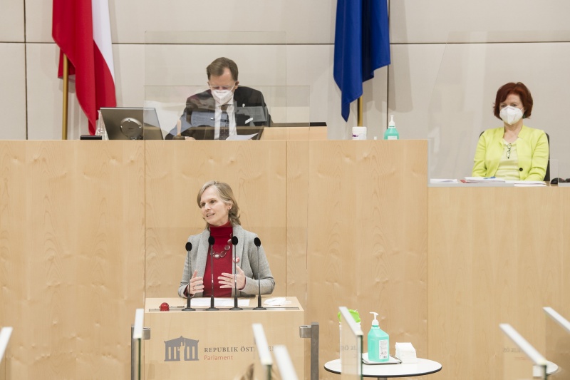 Am Rednerpult: Bundesrätin Daniela Gruber-Pruner (SPÖ)