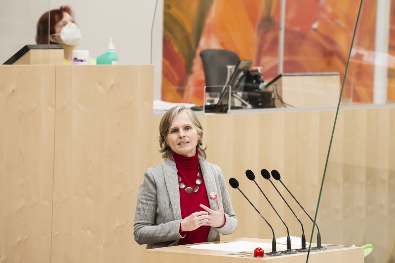 Am Rednerpult: Bundesrätin Daniela Gruber-Pruner (SPÖ)