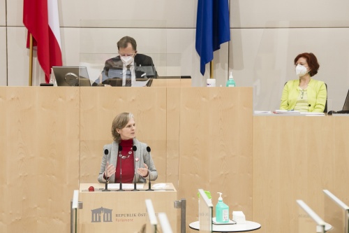 Am Rednerpult: Bundesrätin Daniela Gruber-Pruner (SPÖ)