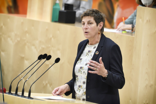 Nationalratsabgeordnete Astrid Rössler (GRÜNE)