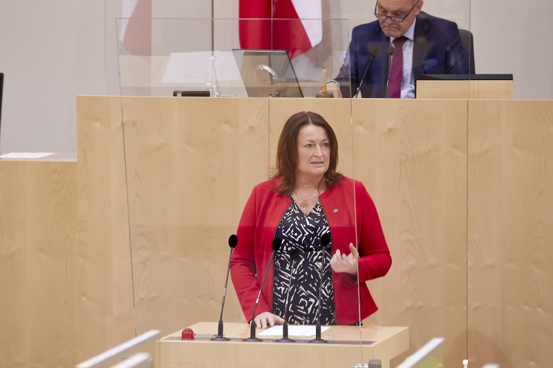 Am Rednerpult Nationalratsabgeordnete Petra Wimmer (SPÖ)