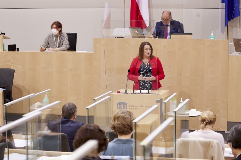 Am Rednerpult Nationalratsabgeordnete Petra Wimmer (SPÖ)