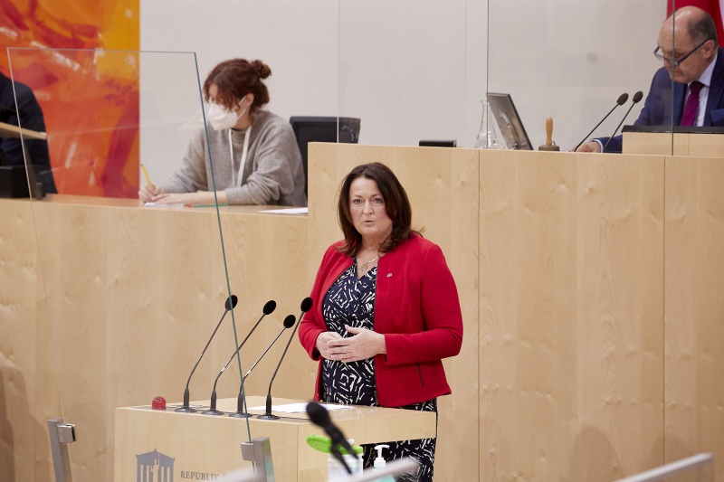 Am Rednerpult Nationalratsabgeordnete Petra Wimmer (SPÖ)