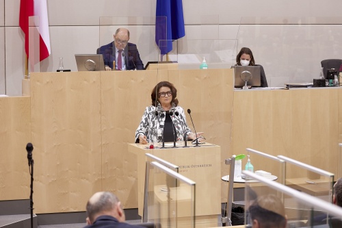 Am Rednerpult Nationalratsabgeordnete Elisabeth Scheucher-Pichler (ÖVP)