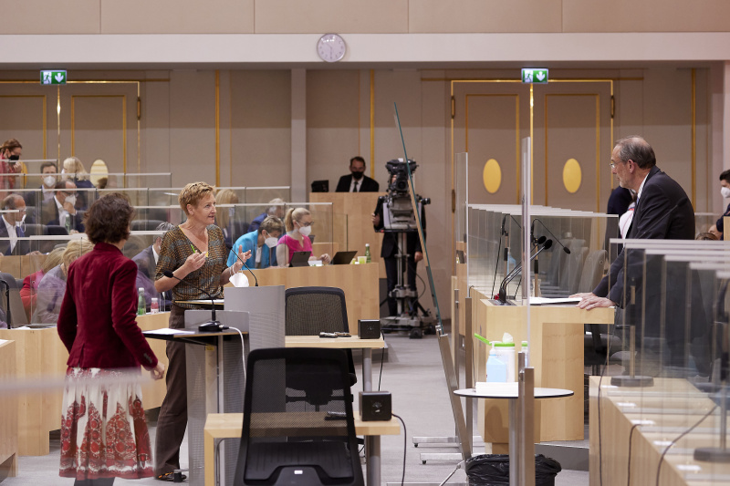 Frage - Nationalratsabgeordnete Sibylle Hamann (GRÜNE)