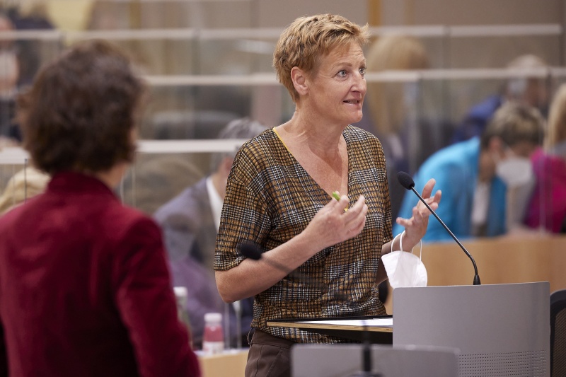 Fragestunde, Frage gestellt von Nationalratsabgeordnete Sibylle Hamann (GRÜNE)