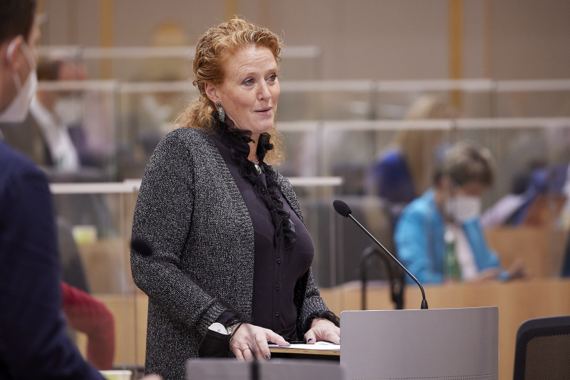 Fragestunde, Frage gestellt von Nationalratsabgeordnete Fiona Fiedler (NEOS)