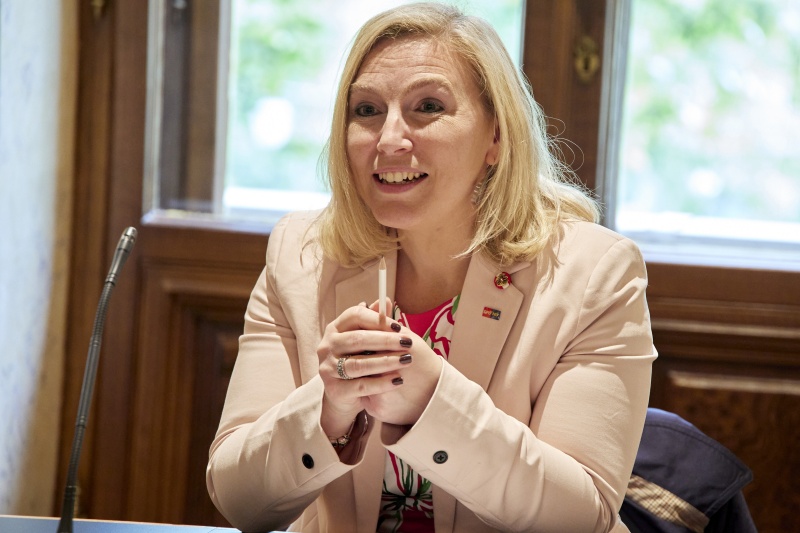 Aussprache, Vizepräsidentin des Bundesrates Doris Hahn (SPÖ)
