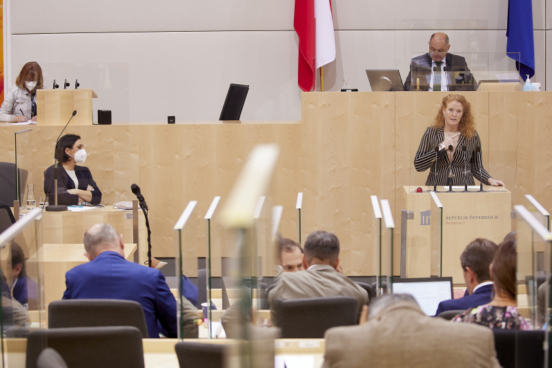 Am Rednerpult Nationalratsabgeordnete Fiona Fiedler (NEOS)