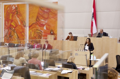 Am Rednerpult Nationalratsabgeordnete Petra Steger (FPÖ)