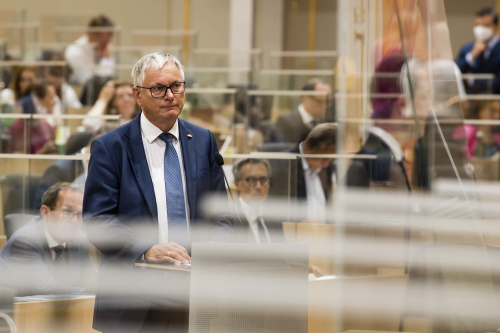 Aktuelle Fragestunde an den Finanzminister. Am Rednerpult: Nationalratsabgeordneter Alois Stöger (SPÖ)