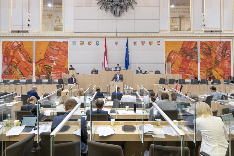 Bundesrat Michael Bernard (FPÖ) am Rednerpult