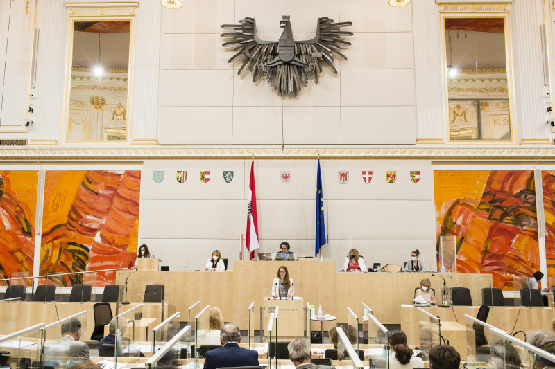 Am Rednerpult: Bundesrätin Elisabeth Wolff (ÖVP)