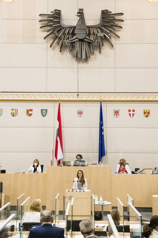 Am Rednerpult: Bundesrätin Elisabeth Wolff (ÖVP)