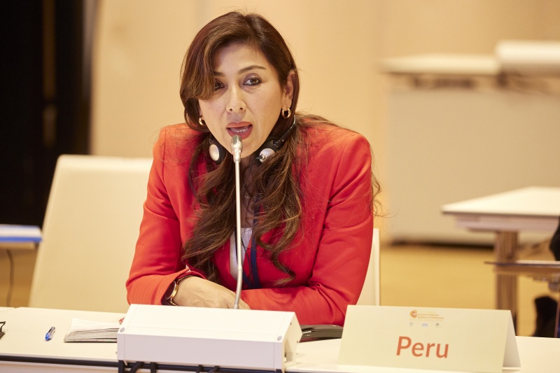 conference participant Peru - Session 1: Women in the pandemic: A tribute to everyday heroes - Motion 1